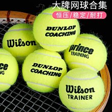 鄧祿普Dunlop網球ATPTOUR鐵罐筒裝澳網AO比賽運動訓練球3/4粒裝~特價 歷史價格詳細信息
