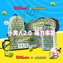 網球 Wilson威爾勝 網球 威爾遜訓練球 無壓練習球WRT13600 歷史價格詳細信息