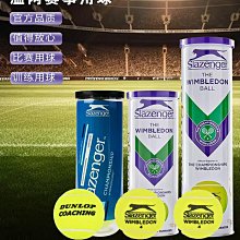 Slazenger成人兒童專業女士三角連體遊泳衣訓練比賽泳裝露背鏤空 歷史價格詳細信息