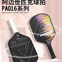 阿邁gopro12/11/10/9充電器快充收納三充運動相機充電套裝 歷史價格詳細信息