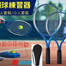 羽毛球自學視頻教程羽毛球零基礎優盤十幾位教練李宇軒陳金課程 歷史價格詳細信息