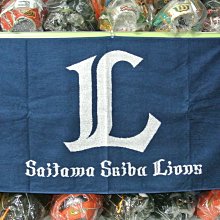 拾荒者 大型 遠端遙控 望遠 監視攝影機 監視球 歷史價格詳細信息