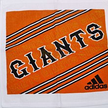 adidas 毛巾 Towel 運動毛巾 吸水 棉質 雙面 小浴巾 健身 訓練 快乾 愛迪達 【ACS】 DH2860 歷史價格詳細信息
