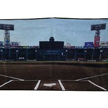 貳拾肆棒球--日本帶回阪神甲子園球場100週年限定迷你銀色模型吊飾 歷史價格詳細信息