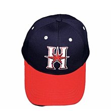 NPB 日本職棒 歐力士藍浪隊 鈴木一朗 紀念球 LOGO球 肖像球 簽名球 B 歷史價格詳細信息