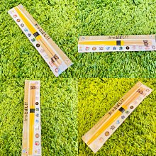 貳拾肆棒球-限定品！日本帶回 日職棒明星賽東京巨蛋實際比賽球/Mizuno製 歷史價格詳細信息