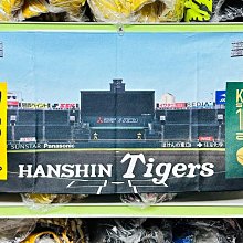 貳拾肆棒球--甲子園限定品！日本帶回SSK超輕量硬式投手手套.日製/黑 歷史價格詳細信息