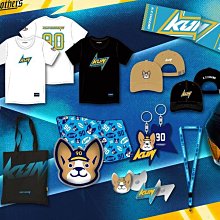 老 柯達傻瓜 照相機(請看說明) 歷史價格詳細信息