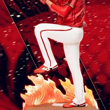 味全龍冠軍巴士+暗黑破壞神紀念球 歷史價格詳細信息