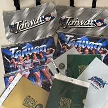 2024 中華職棒 CPBL 台鋼 雄鷹 大人鷹明手拉旗 手拉旗 歷史價格詳細信息