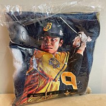 中信兄弟 爪爪鄉民日 磁鐵開瓶器 CTBC BROTHERS 中華職棒 CPBL 職棒周邊 歷史價格詳細信息