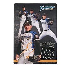 北海道日本火腿 日職 田中賢介 引退紀念球衣/T恤/T-shirt 歷史價格詳細信息