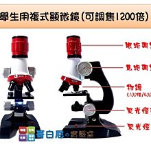 哥白尼的實驗室/生物/4D羚羊模型/正版Fame Master/陸生生物系列 哺乳類 歷史價格詳細信息