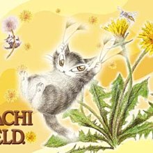 【日本正版】龍貓 拼圖 108片 日本製 在龍貓肚子上 豆豆龍 宮崎駿 吉卜力 ENSKY - 137212 歷史價格詳細信息