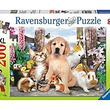 (貓狗圖隨機出貨) 安適得 酷版 含雷射標籤 公司貨 60顆 150顆 寵物保健 歷史價格詳細信息