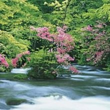 日本正版拼圖 日本風景 蒼滝 瀑布 300片絕版拼圖，03-670 歷史價格詳細信息