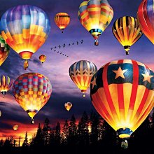 美國進口拼圖 動物 貓狗睡覺．1000片拼圖，28502 歷史價格詳細信息