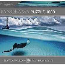 海洋風景桌上擺件 鐵達尼號 桑尼號 黃金梅利號 魯夫的海賊船 家居飾品 臥室柔光  桌面擺件 小夜 歷史價格詳細信息