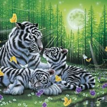 450片透明拼圖專用框 尺寸: 18.5*55.5cm 雙壓克力式  樣式顏色可任選 訂製商品 歷史價格詳細信息