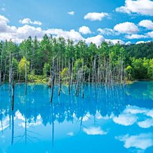 日本進口拼圖 風景 台灣 九份夜景 600片拼圖 66-120 歷史價格詳細信息
