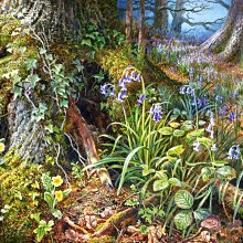 歐洲進口拼圖 CAS 繪畫風景 夢幻秋天落葉溪畔森林  2000片拼圖 200757 歷史價格詳細信息