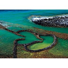 ＊美之小舖＊台灣製 #7202 棉質透氣舒適背心女性長版內衣~ ( M . L . XL ) 特價90元 歷史價格詳細信息