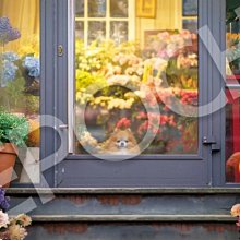 日本來的小錘子小圓錘圓胖錘手工小錘，非銅錘，重約(含柄)28 歷史價格詳細信息