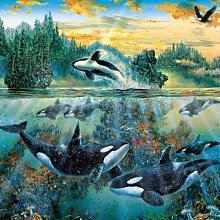 拼圖 日本進口拼圖 13-065S(1000片夜光變化拼圖名偵探柯南 月下的對手) 歷史價格詳細信息