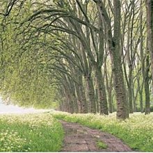 免運~日本進口oriental motor東方馬達中空旋轉式傳動裝置DGM85R-aRaC GK116 歷史價格詳細信息