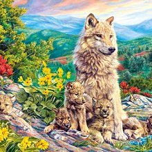 歐洲進口拼圖 CAS 繪畫風景 夢幻秋天落葉溪畔森林  2000片拼圖 200757 歷史價格詳細信息