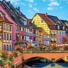 拼圖專賣店 1000-137D(台灣之美－台中梨山－波斯菊花海) 歷史價格詳細信息