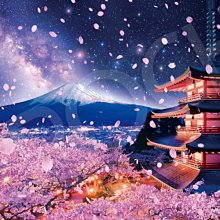 櫻花22公升循環預熱智能恆溫SH2291同款FE式熱水器天然氣【SH-2291FE-NG1】 歷史價格詳細信息