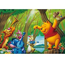 森林音樂會 歷史價格詳細信息