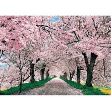 【P2 拼圖】生態系列 陽明山國家公園手繪-陽明山的蕈類(108pcs) HPY0108-008 歷史價格詳細信息