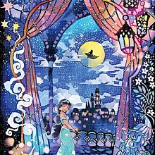 迪士尼公主阿拉丁電影迷你公主人物組 玩具反斗城 歷史價格詳細信息