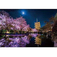 風景攝影 KAGAYA 五重塔和櫻花 (Yanoman, 1000片, 10-1299, 夜光拼圖, 日本拼圖) 價格比較,價格查詢,歷史價格詳細信息