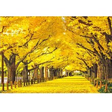 日本BEVERLY宮崎駿大龍貓印章台NSD-007 歷史價格詳細信息