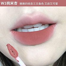 INTOYOU唇泥唇釉口紅女主角mini啞光霧面絲絨顯白EM05中樣intoyou 歷史價格詳細信息