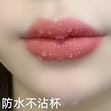 肉桂奶茶30到40歲口紅不沾杯不掉色滋潤孕婦可用素顏黃皮顯白防水 歷史價格詳細信息