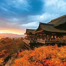 台北可自取????含稅 光華八德 Wanbo 萬播 X5 智慧投影機 劇院級 1080P高畫質 AI自動對焦 歷史價格詳細信息