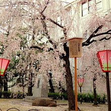 旅遊 日本現行行政法 ·· 法律出版社【正版】 正版保證 歷史價格詳細信息