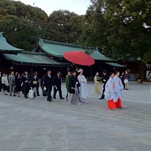 旅遊 日本稅法【可開電子發票】 保證 歷史價格詳細信息