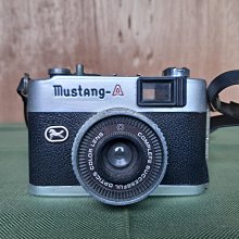 MUSTANG(14-21)野馬 避光墊 麂皮 碳纖維 超纖皮 法蘭絨 大理石皮 福特 【A.F.C 一朵花】 歷史價格詳細信息