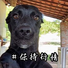 賣場內物品全買66000元 歷史價格詳細信息