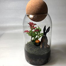 生態瓶&微景觀玻璃盆景－打造你的TERRARIUM 歷史價格詳細信息