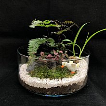 生態小偵探1：恐龍跟你想得不一樣？（附生態小偵探放大鏡）【城邦讀書花園】 歷史價格詳細信息