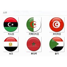 〈世界國旗〉非洲 東非 世界國旗 胸章、吸鐵 1組12個 歷史價格詳細信息