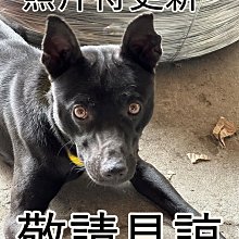 【各式墨條】各1000 歷史價格詳細信息