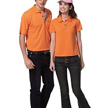 Champion-新一代戰神電動升降電競桌 歷史價格詳細信息