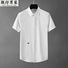 時尚百搭免縫葉子胸針防走光神器高檔精致小號別針西裝配飾品3596【爆款】~定價,請咨詢yo 歷史價格詳細信息